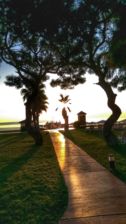 Gartenanlage TUI MAGIC LIFE Beldibi +16