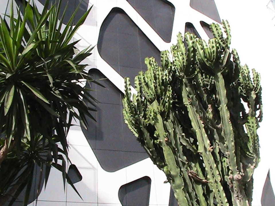 Nordseite Hotel Riu San Francisco - Adults only