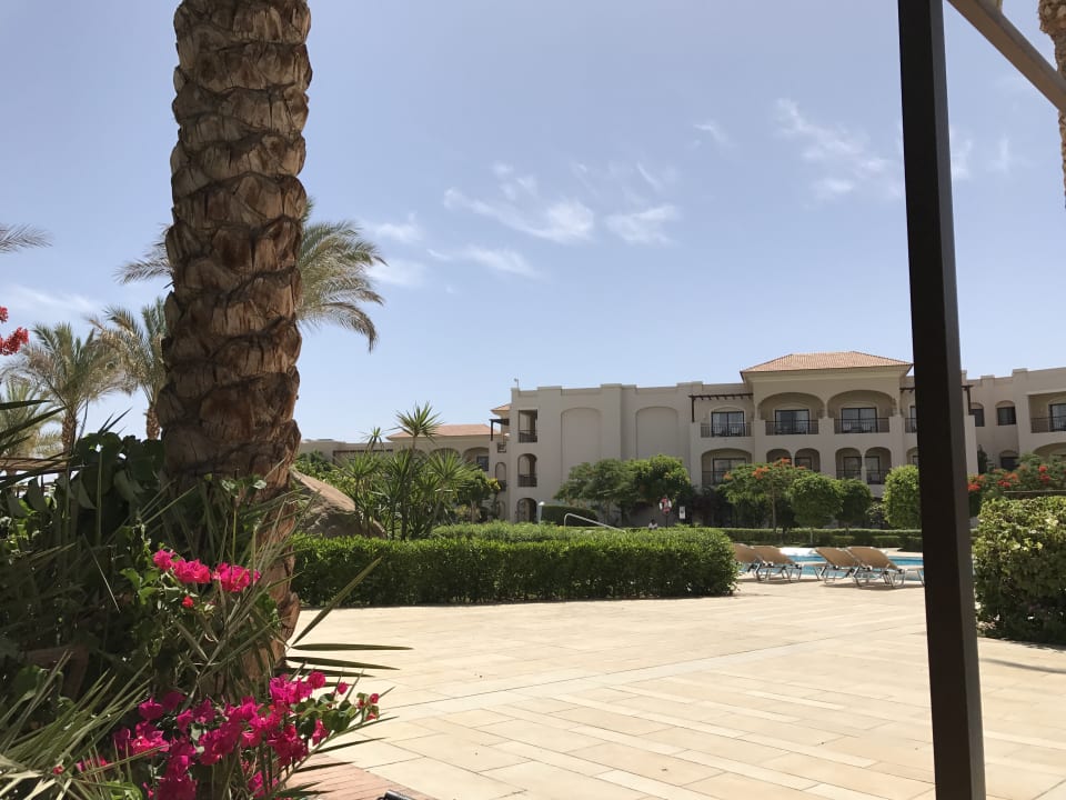 Blick von einer Poolliegen JAZ Aquamarine Resort