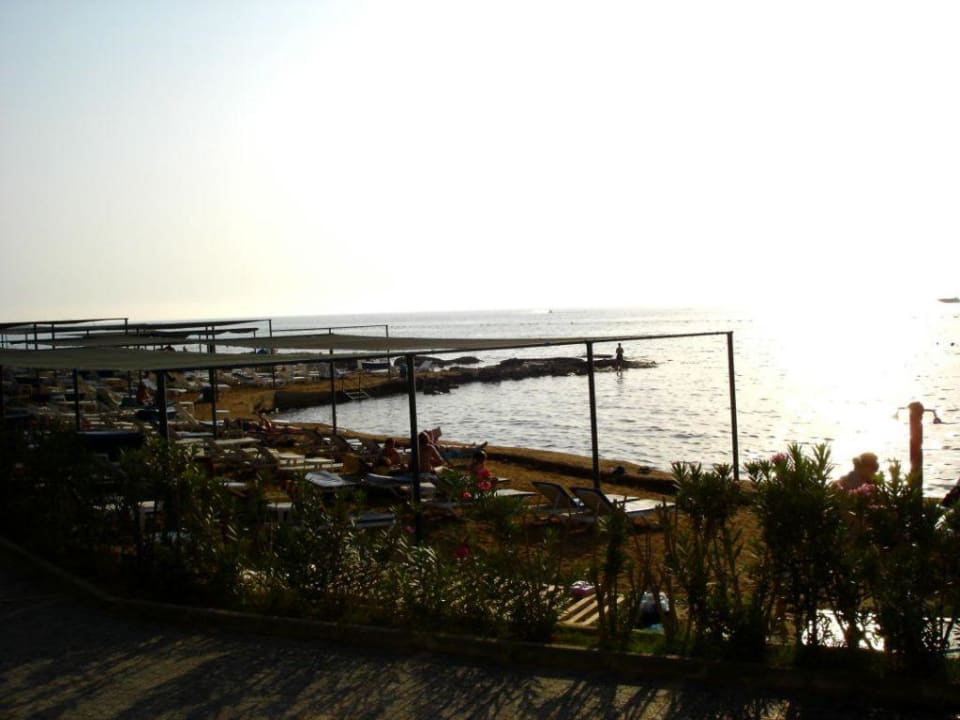 Strand Can Garden Beach