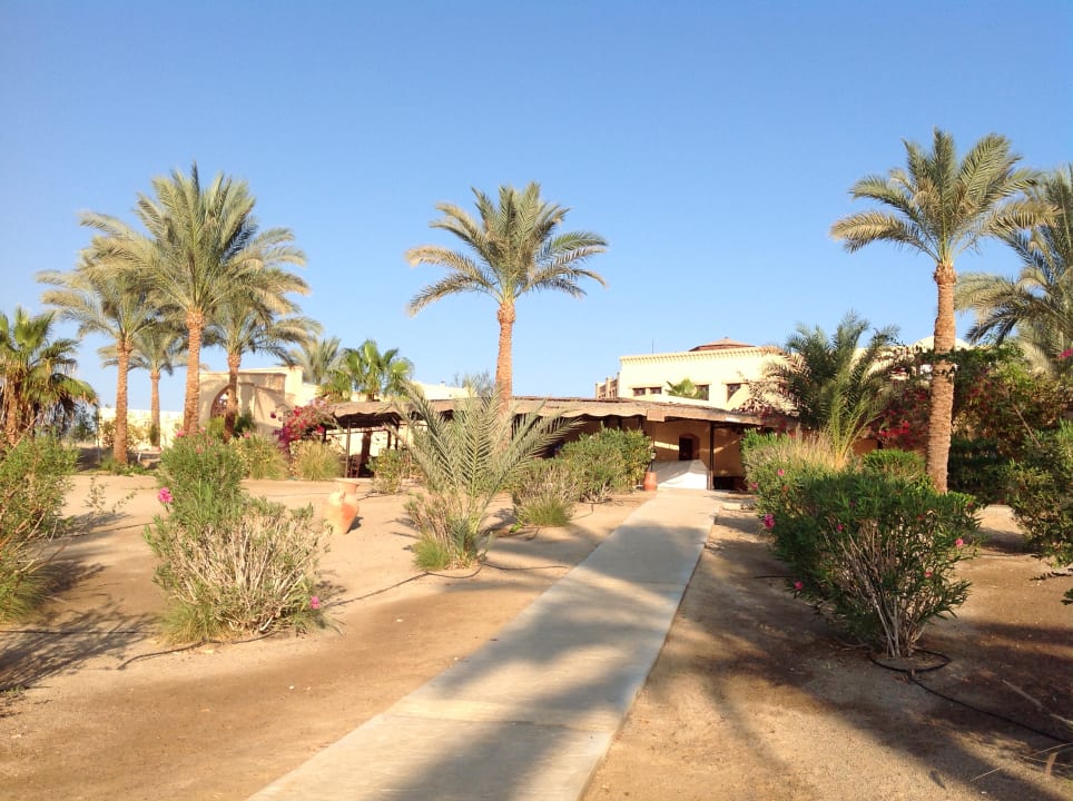 Gartenanlage Steigenberger Coraya Beach - Adults only