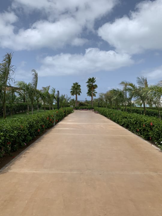 Gartenanlage Hotel Riu Palace Boavista