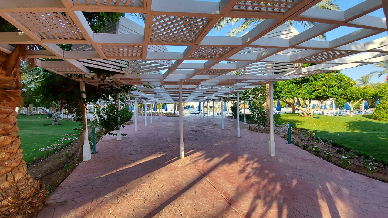 Gartenanlage Desert Rose