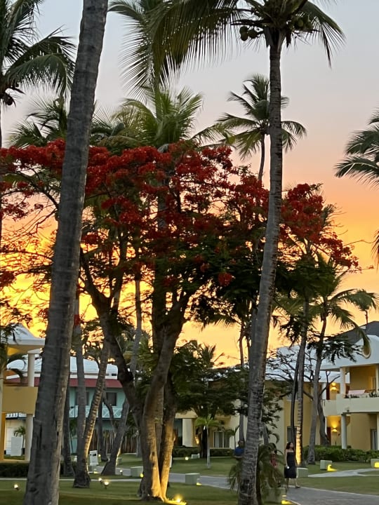 Außenansicht Iberostar Selection Coral Bávaro