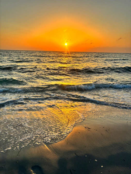 Strand TUI BLUE Palm Beach Palace Djerba