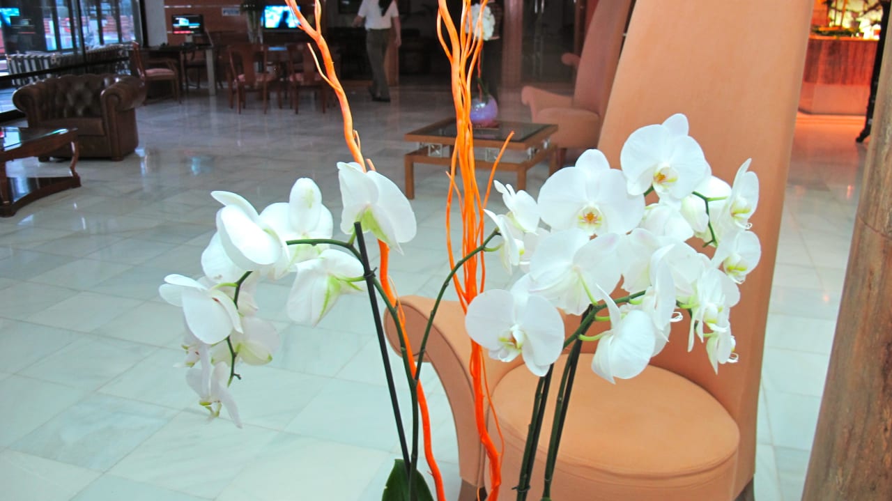 Blumendeko in der Halle Hotel Serrano Palace