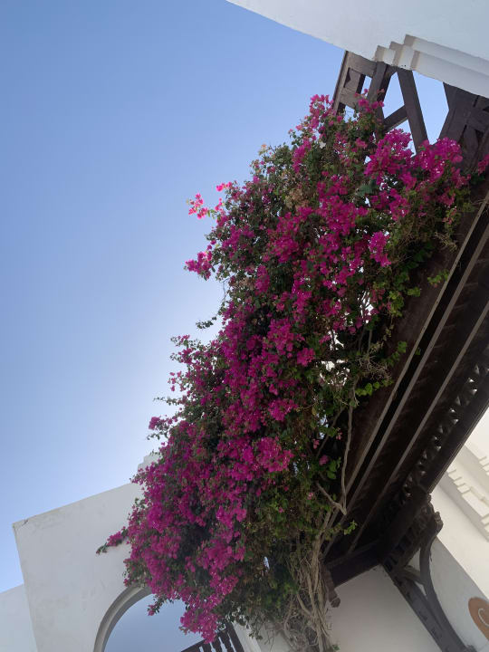 Sonstiges Arabella Azur Resort