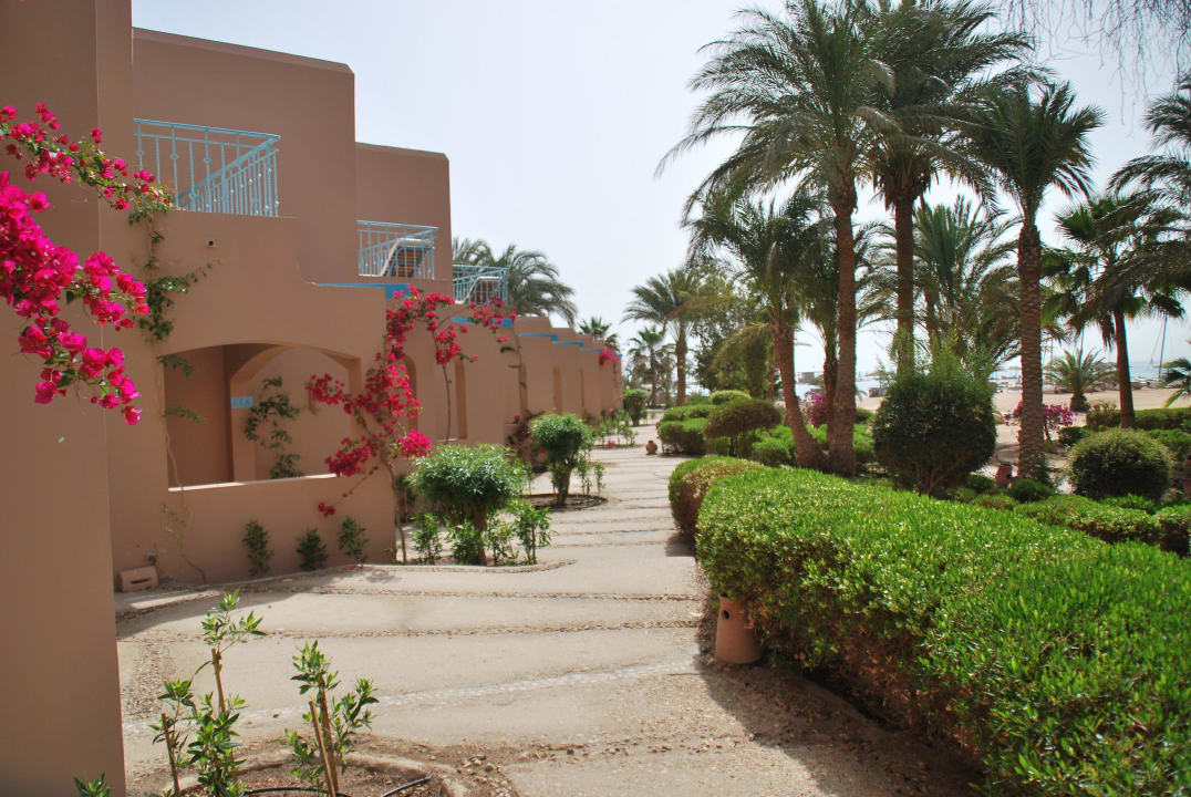 Blick von der Terrasse nach links Club Paradisio El Gouna, Red Sea