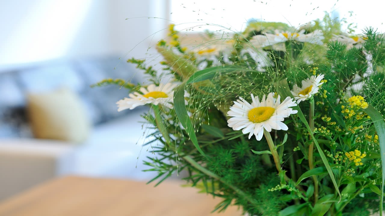 Zimmer Appartementhaus UR-NATUR
