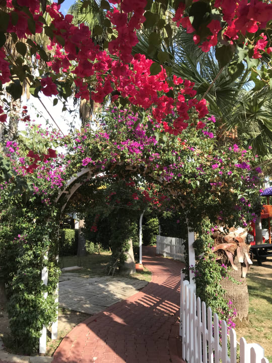 Gartenanlage Hane Family Resort