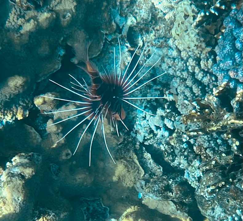 Strand Three Corners Happy Life Beach Resort