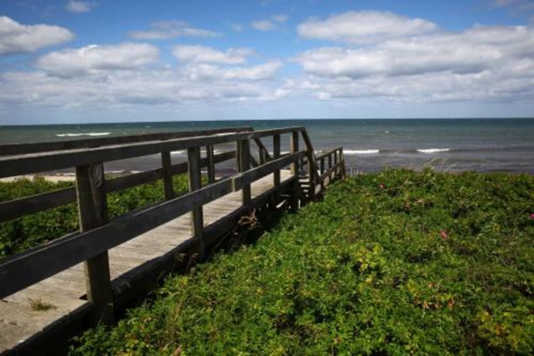 Strand Haus Wildgans - Ferienwohnung Sonnenblume