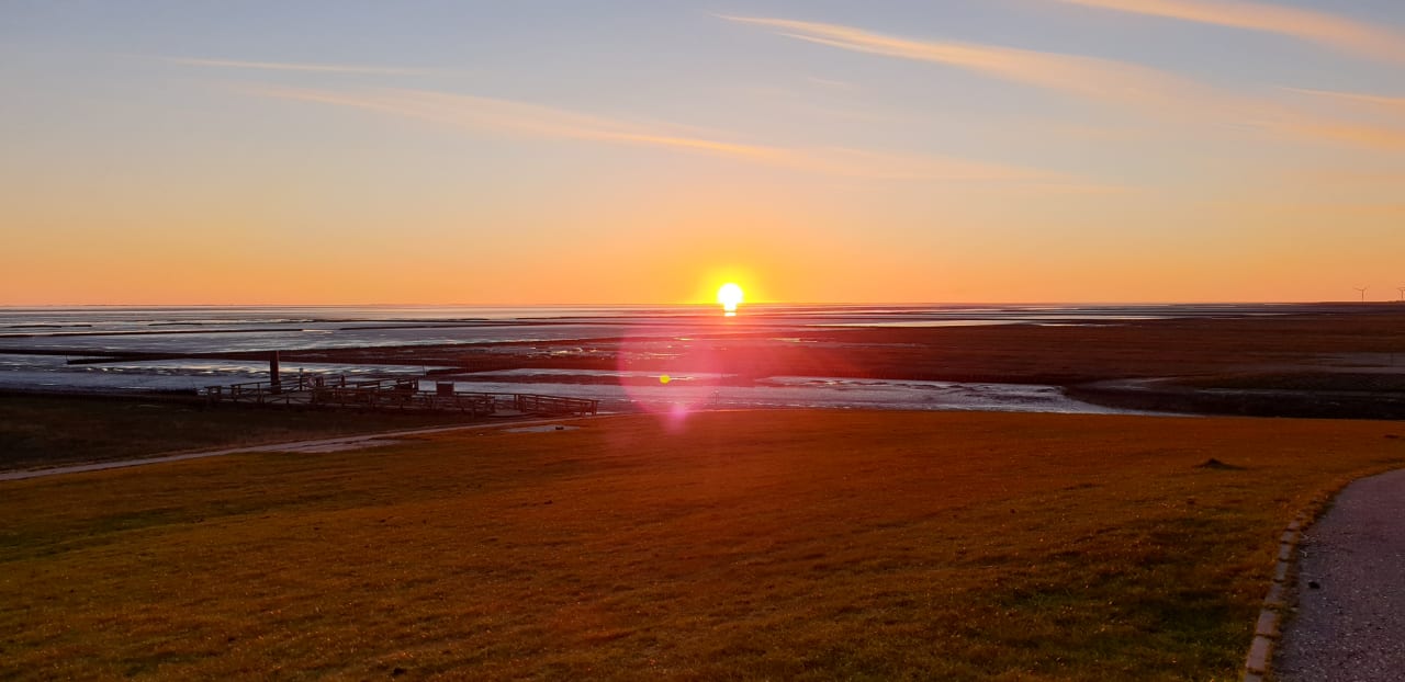 Ausblick Ferienhaus Hemenswarft direkt an der Nordsee mit Meerblick