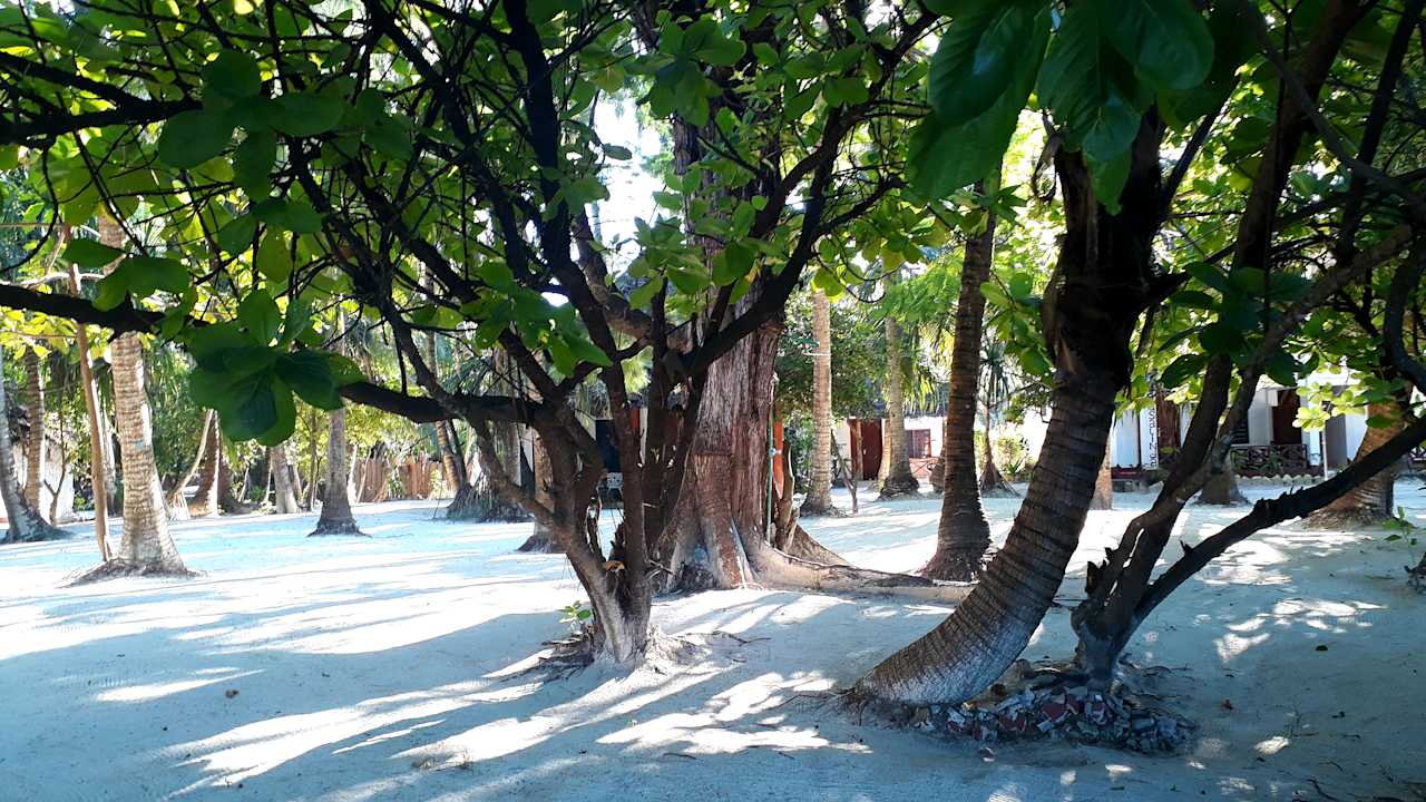 Gartenanlage Santa Maria Coral Park