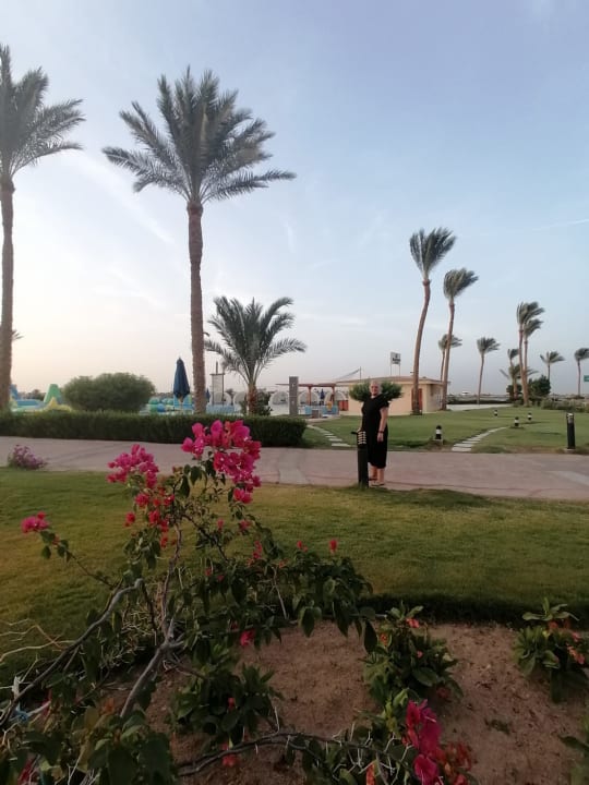 Gartenanlage Cleopatra Luxury Resort Makadi Bay