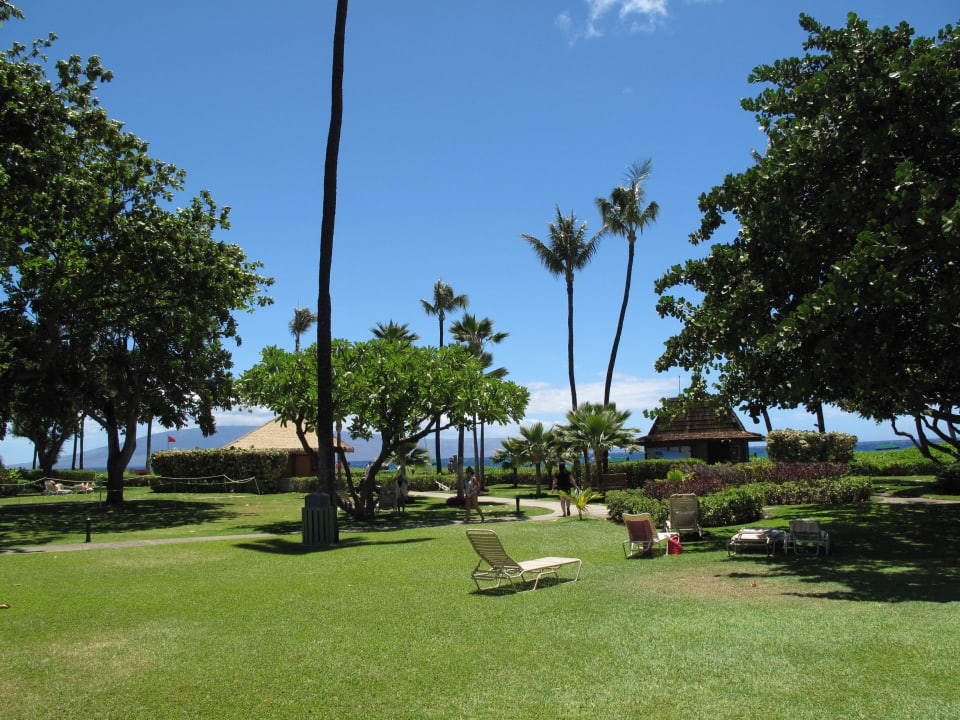 Gartenanlage mit Liegen, dahinter ist der Strand Kaanapali Beach Hotel