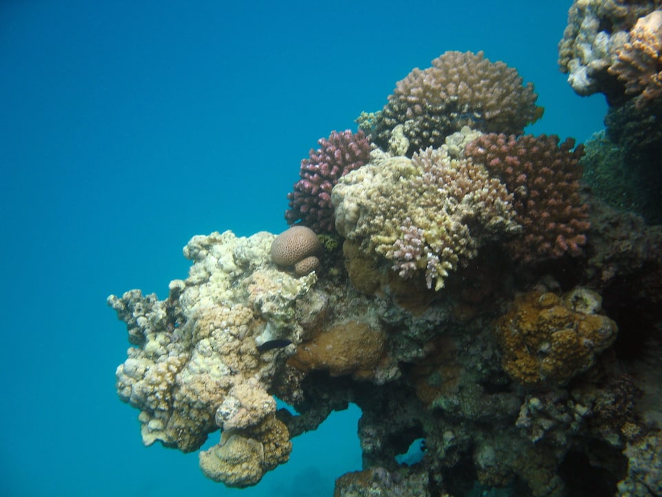 50 Stella Beach Resort & Spa Makadi Bay