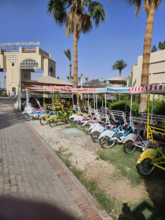 Sport & Freizeit Beach Albatros Resort