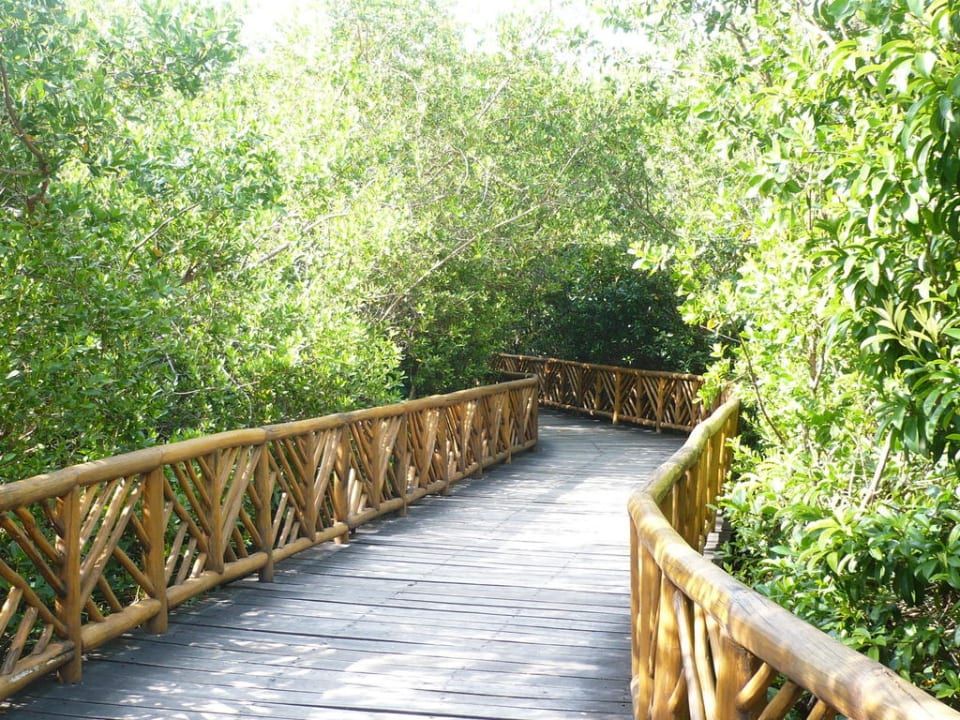 Weg durch die Hotelanlage zum Strand Catalonia Royal Tulum Beach & Spa Resort - Adults only