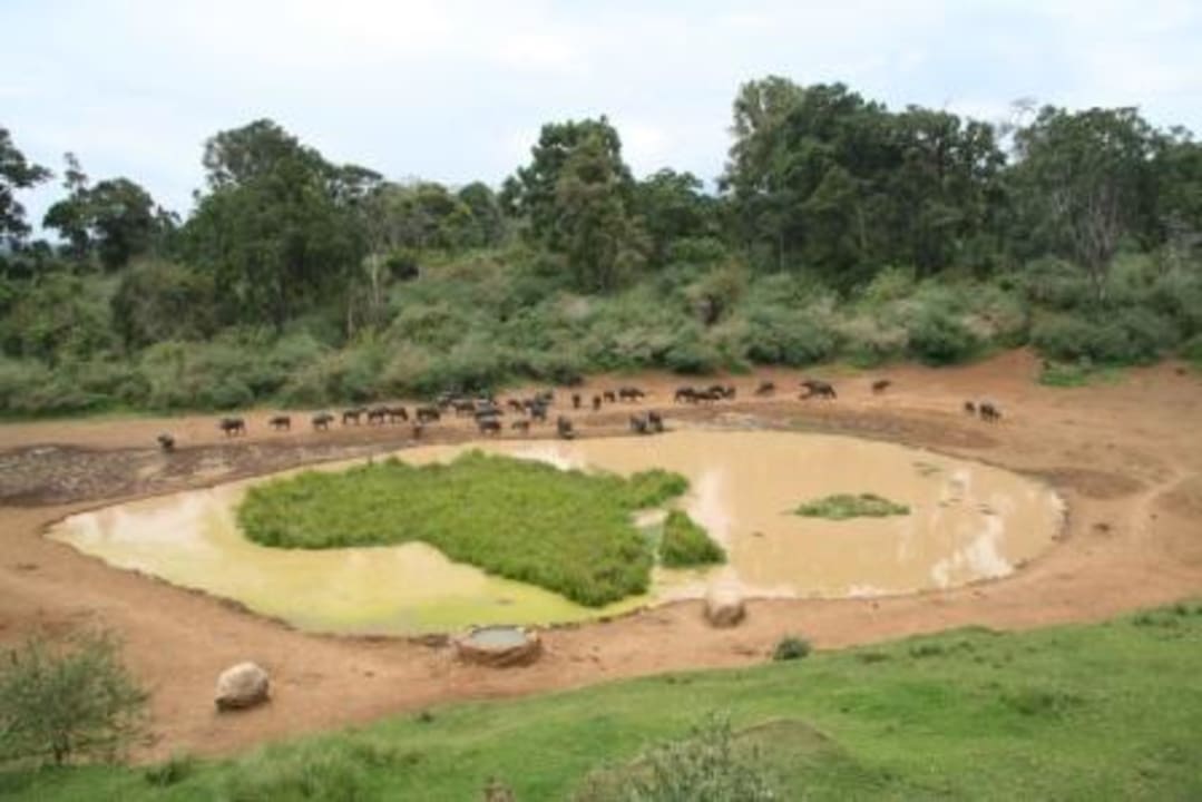 Wasserloch Hotel Serena Mountain Lodge