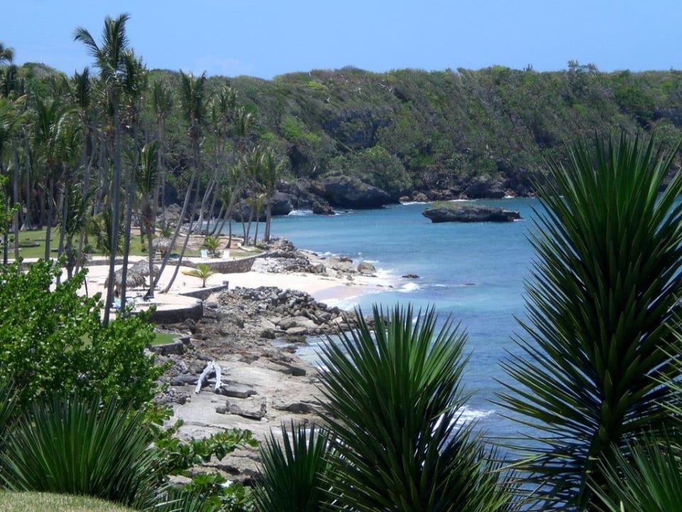 Strand von oben Hotel Caliente Caribe Resort & Spa
