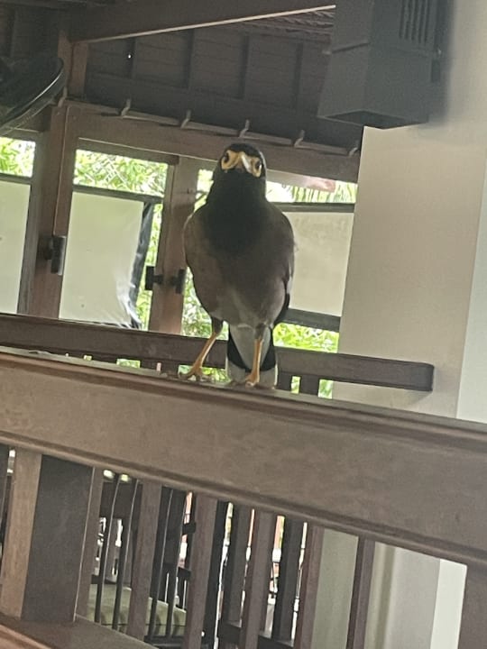 Gastro Khaolak Laguna Resort