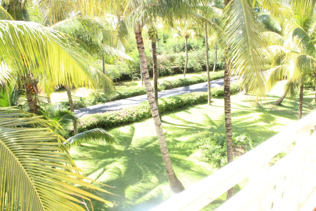 Überall Palmengarten Victoria Beachcomber Resort & Spa