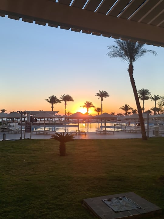 Ausblick Beach Albatros Resort