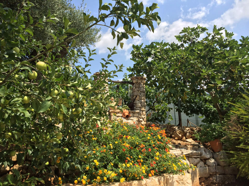 Gartenanlage B&B All'ombra degli ulivi