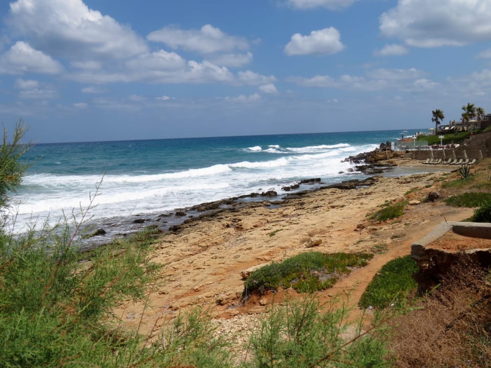 Strand Alexander Beach Hotel & Village Resort