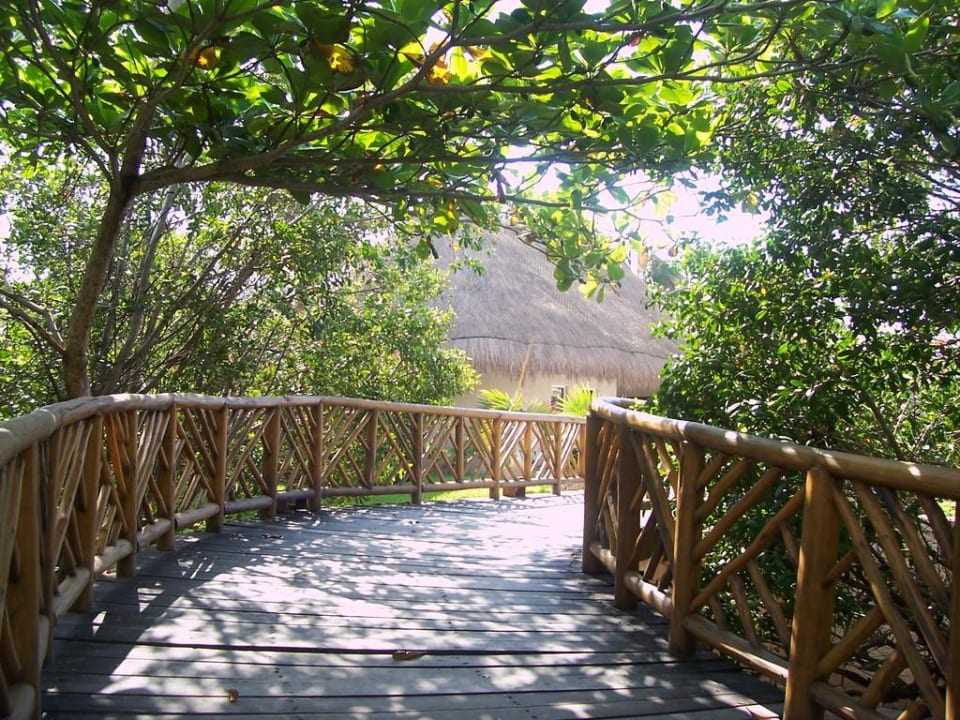 Die Brücke zum Pool- und Strandbereich Catalonia Royal Tulum Beach & Spa Resort - Adults only