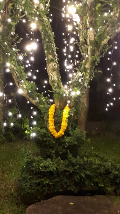 Gartenanlage Zazen Boutique Resort & Spa