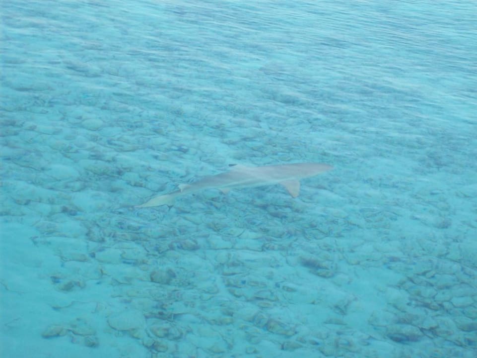Hai Kuramathi Maldives