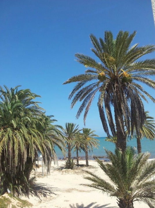 Strand Hotel El Mouradi Djerba Menzel