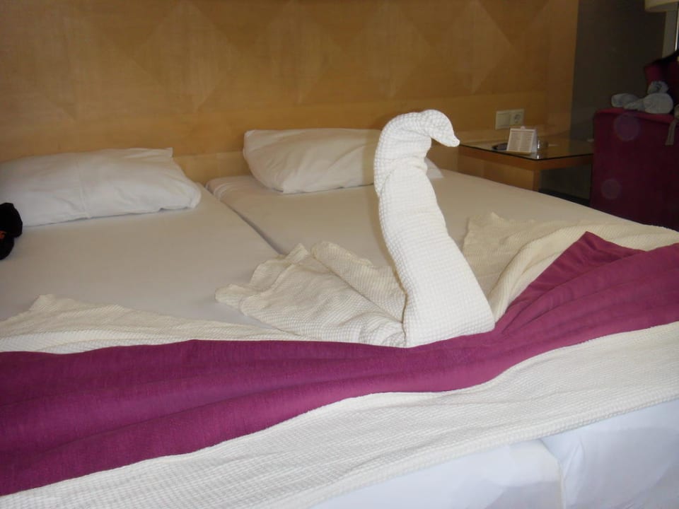 Dekoration Sealife Buket Resort & Beach