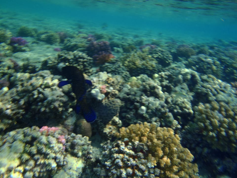 Sport & Freizeit Brayka Bay Resort