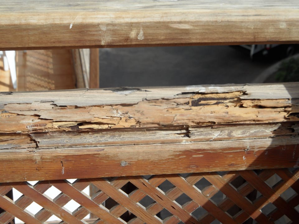 Das war einmal ein Balkon! Apartamentos Poblado Marinero