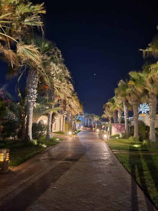 Gartenanlage TUI MAGIC LIFE Penelope Beach