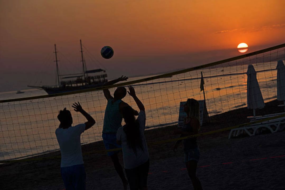 Activities Acanthus Cennet Barut Collection