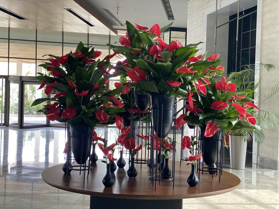 Lobby Acanthus Cennet Barut Collection