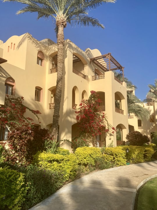 Gartenanlage Steigenberger Coraya Beach - Adults only