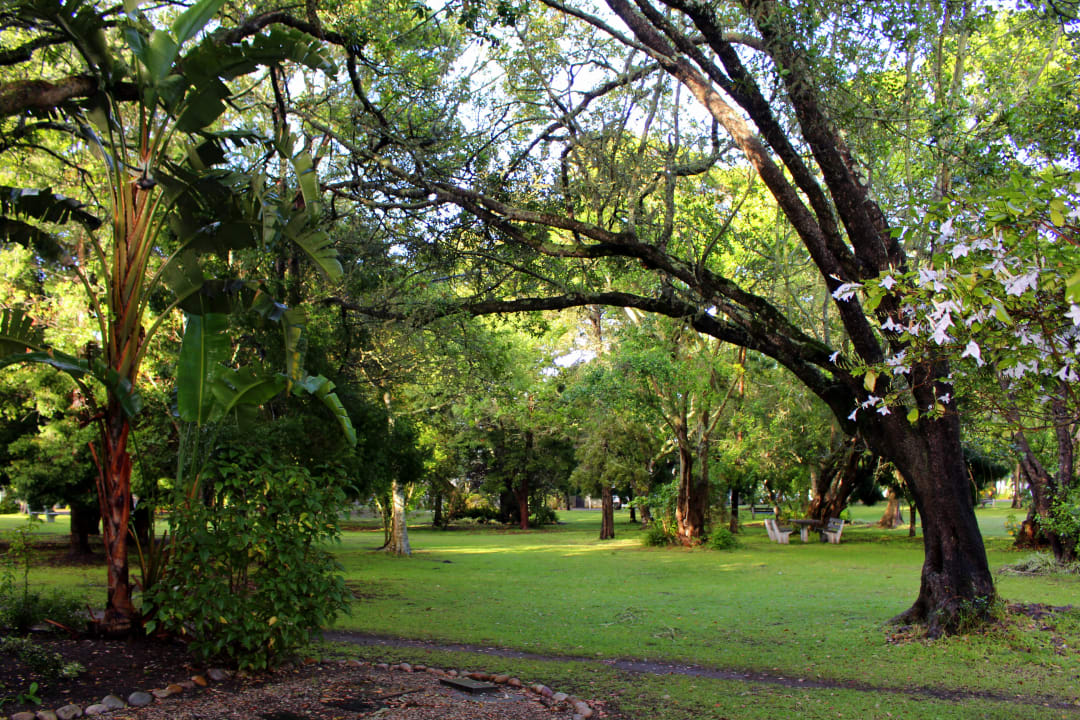 Gartenanlage Premier Resort Knysna The Moorings