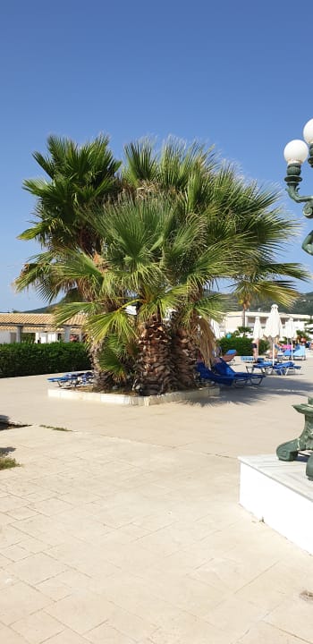 Sonstiges Sandy Beach Resort