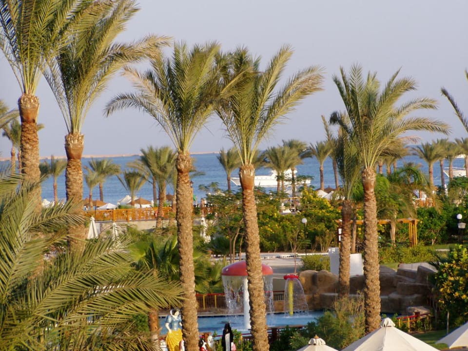 Das ist mal Meerblick! Steigenberger ALDAU Beach Hotel