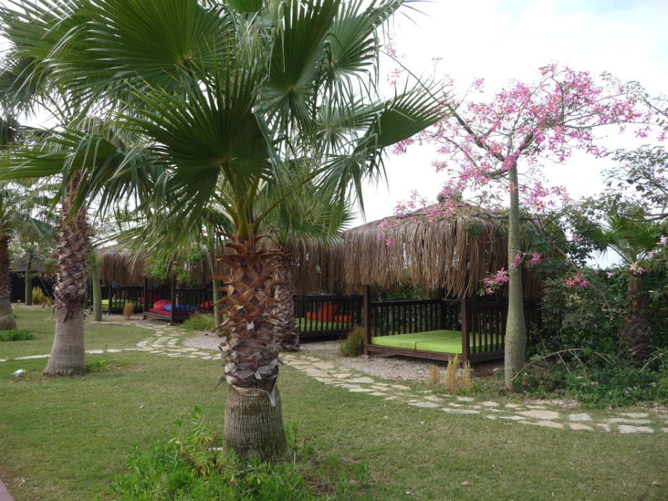 Gartenanlage Saturn Palace Resort Hotel
