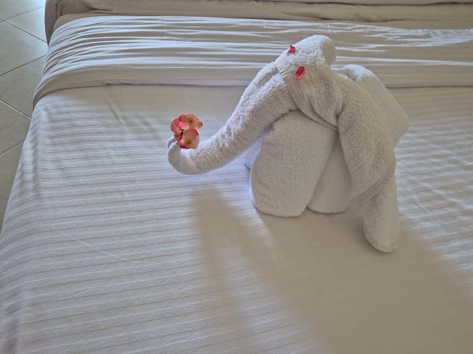 Zimmer Lazuli Hotel Marsa Alam