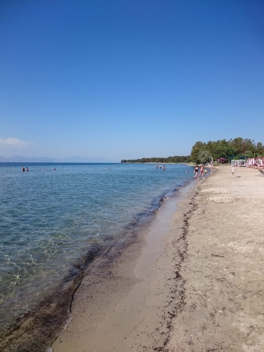 Strand Alea Hotel & Suites