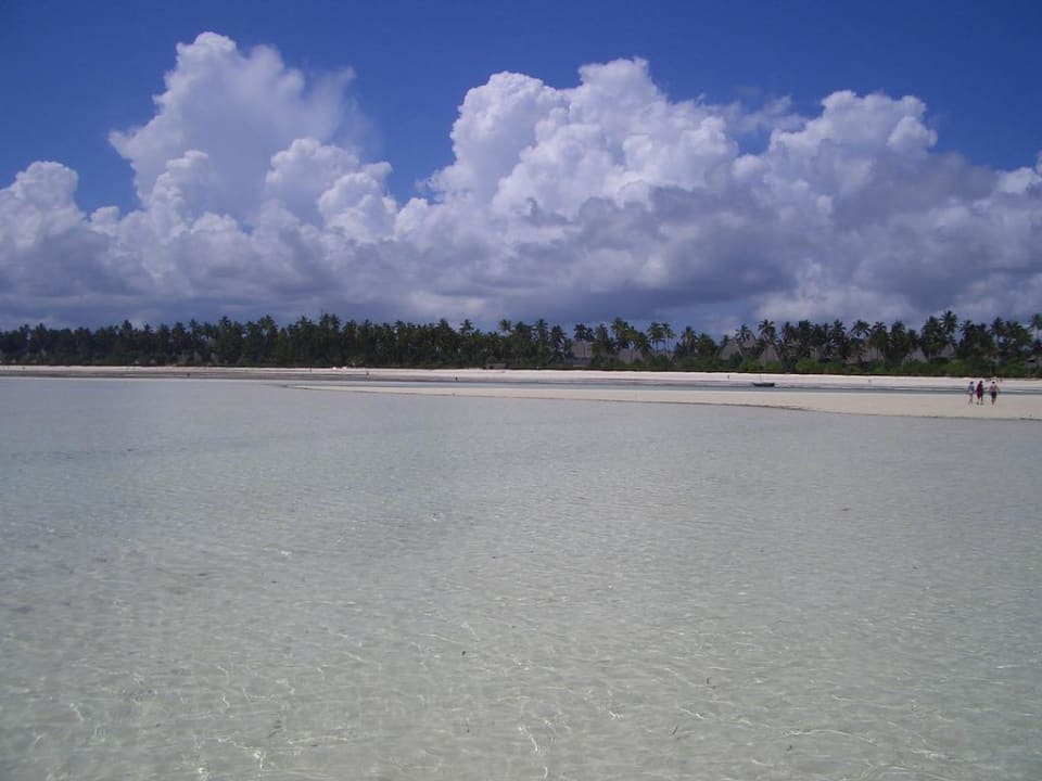 Blick auf das Hotel vom Meer bei Ebbe Neptune Pwani Beach Resort & Spa