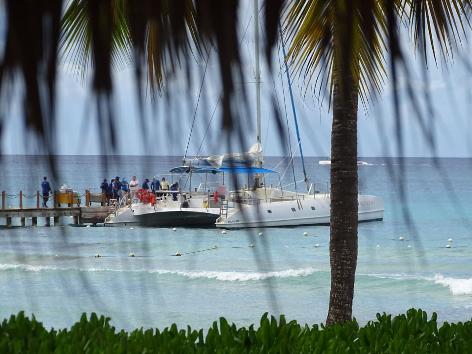 Ausblick Hotel Viva Dominicus Beach by Wyndham - All Inclusive Resort