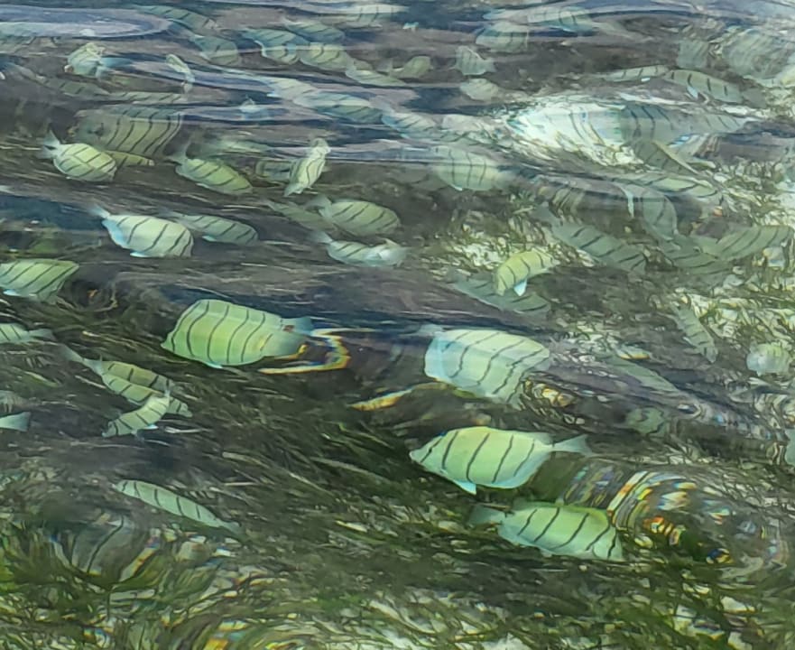 Sport & Freizeit Adaaran Select Hudhuran Fushi - Premium All Inclusive